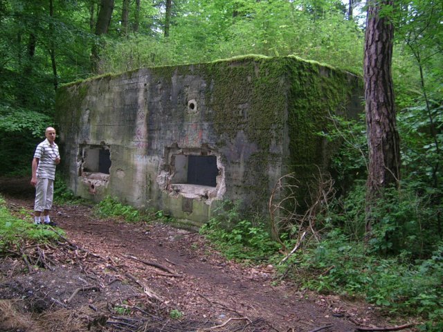 photo.jpg