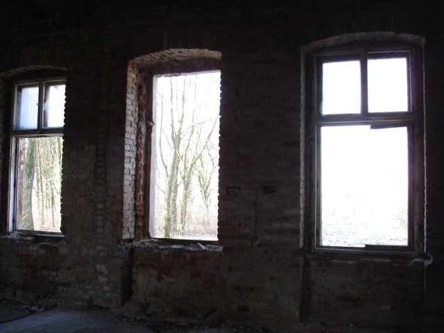 photo16.jpg