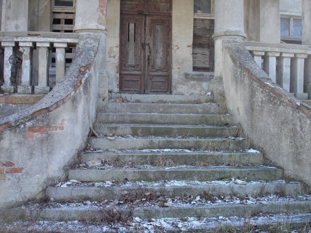 photo4.jpg