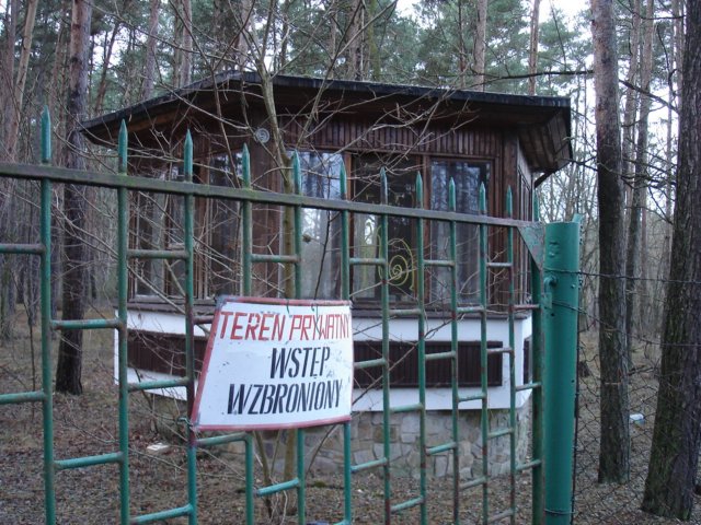 photo.jpg