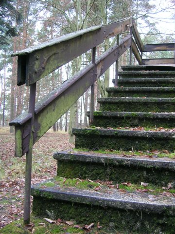 photo15.jpg
