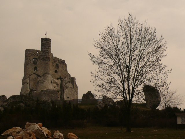 photo.jpg