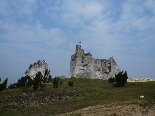 photo9.jpg