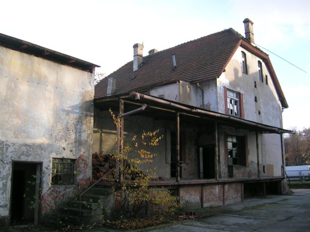 photo19.jpg