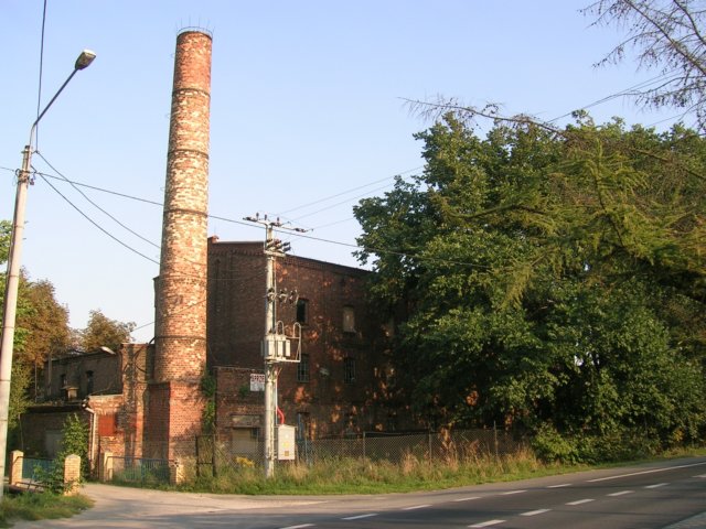 photo.jpg