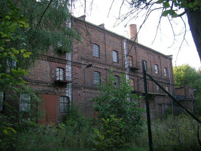 photo10.jpg
