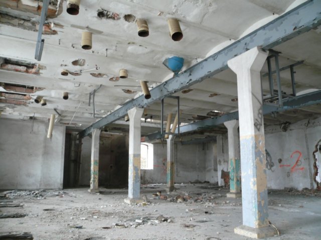 photo6.jpg