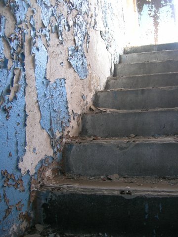 photo10.jpg