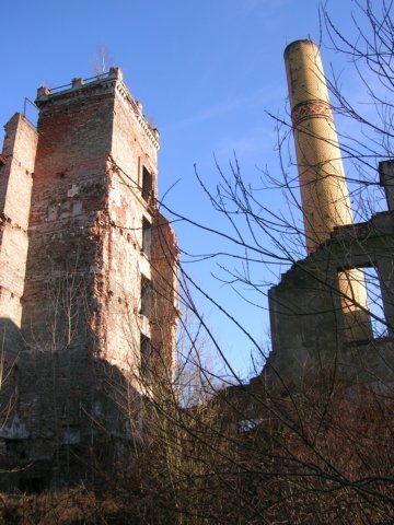 photo9.jpg
