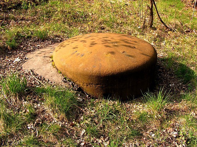 photo11.jpg