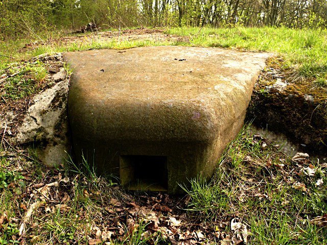 photo4.jpg