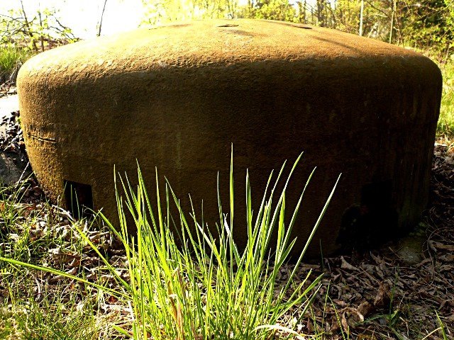 photo6.jpg
