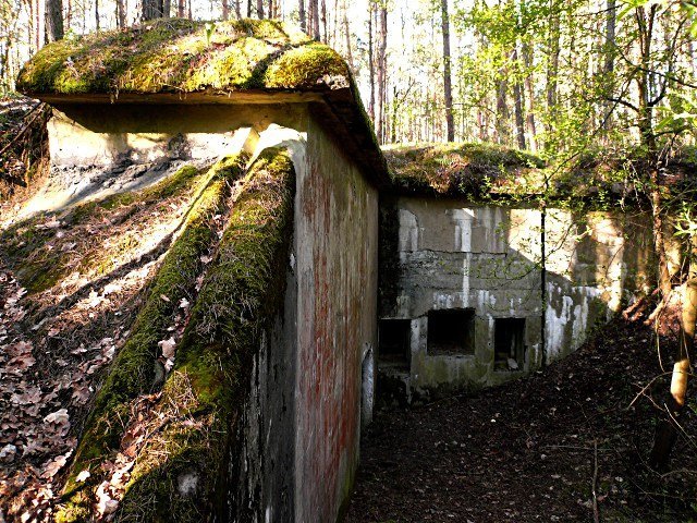 photo7.jpg