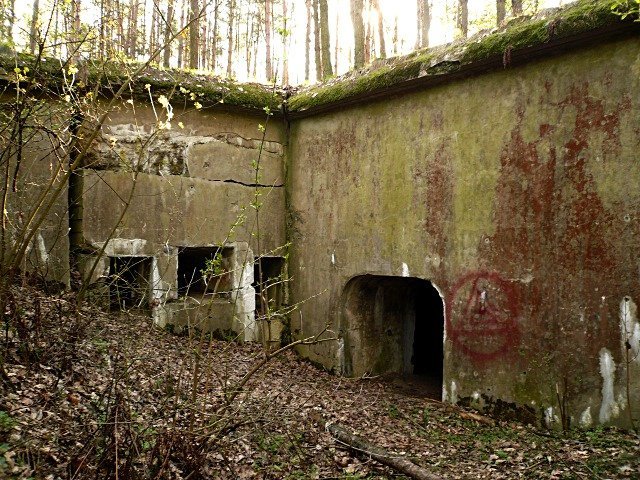 photo9.jpg