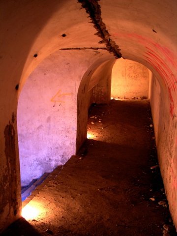 photo11.jpg