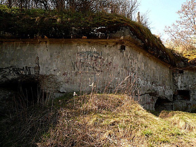 photo2.jpg