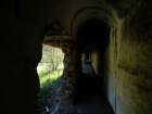 photo5_small.jpg