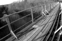 photo4_small.jpg