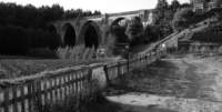 photo2_small.jpg