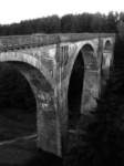 photo5_small.jpg