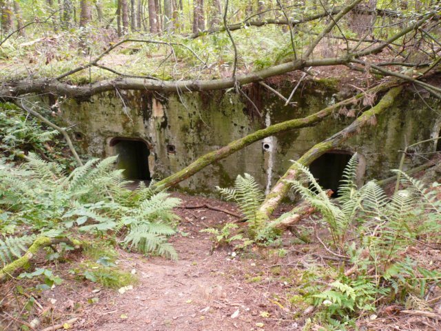 photo6.jpg