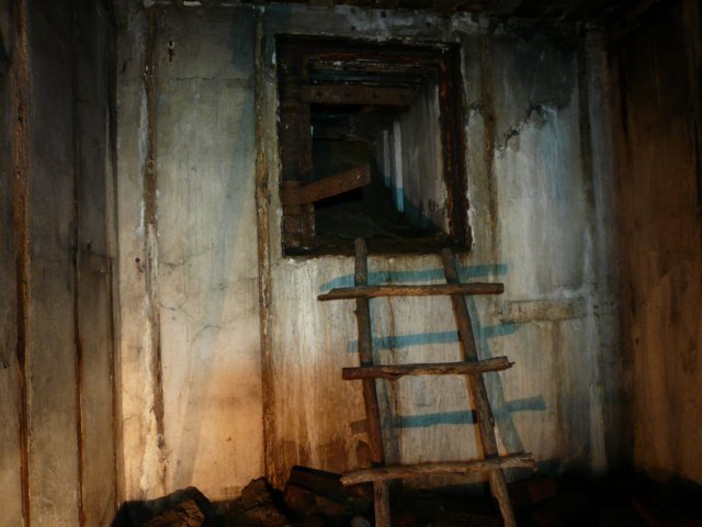photo8.jpg