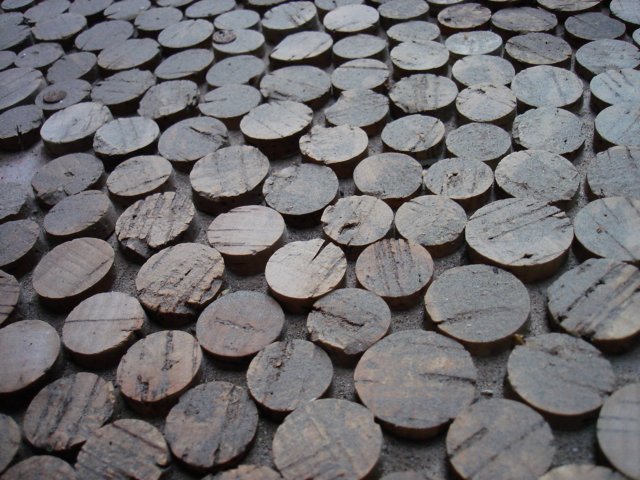 photo29.jpg
