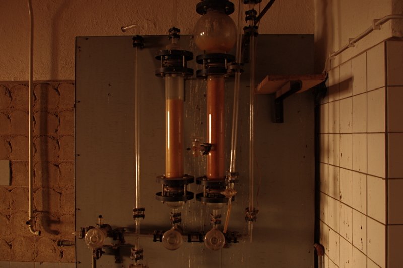 photo6.jpg