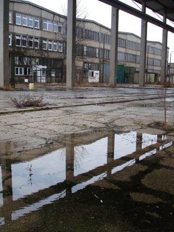 photo.jpg