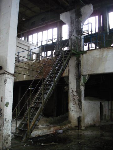 photo10.jpg