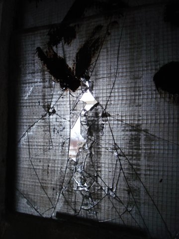 photo4.jpg