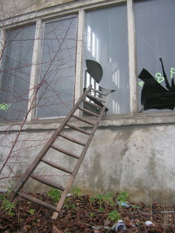 photo42.jpg