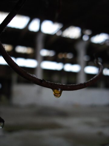 photo7.jpg