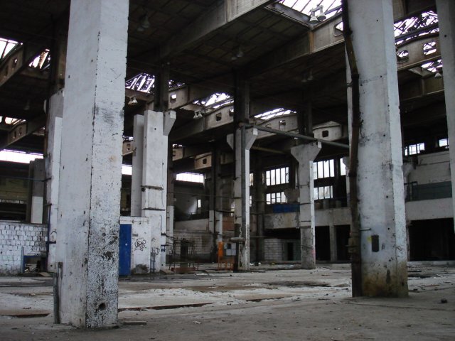 photo8.jpg