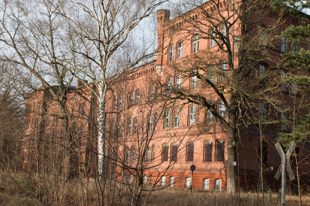 photo.jpg