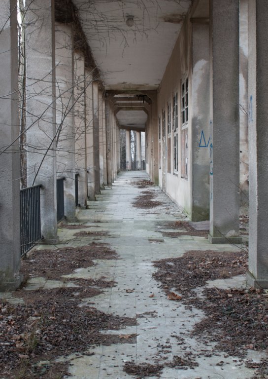 photo8.jpg