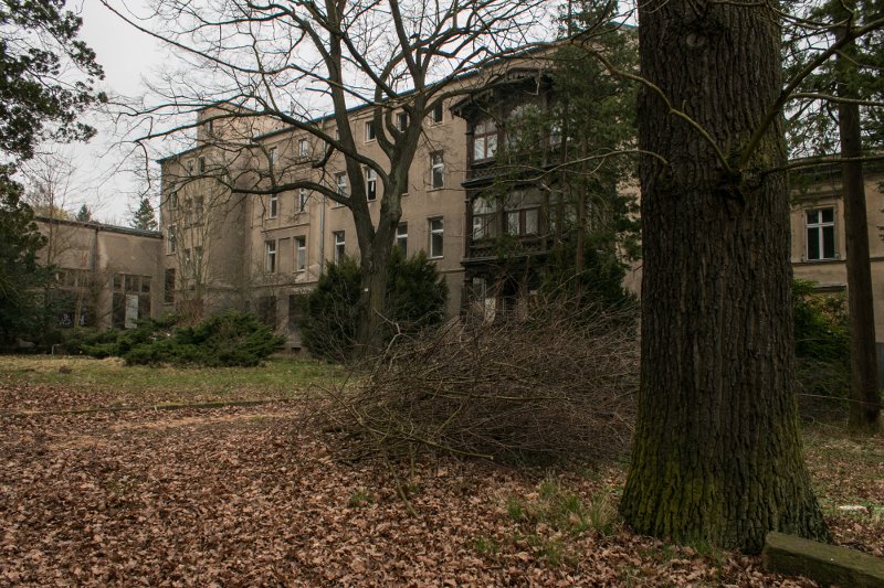 photo.jpg