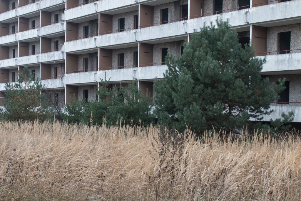 photo.jpg