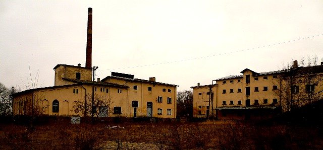 photo.jpg