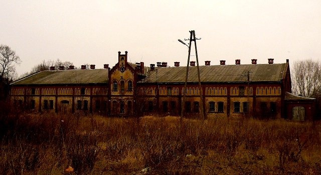photo14.jpg