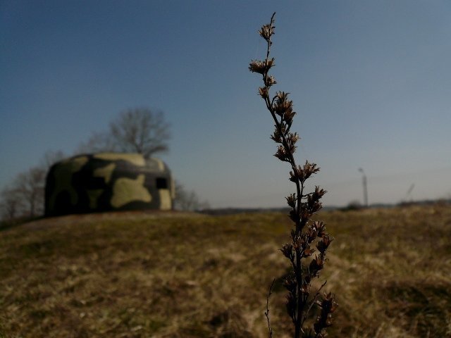 photo15.jpg