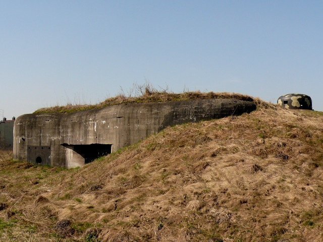 photo8.jpg