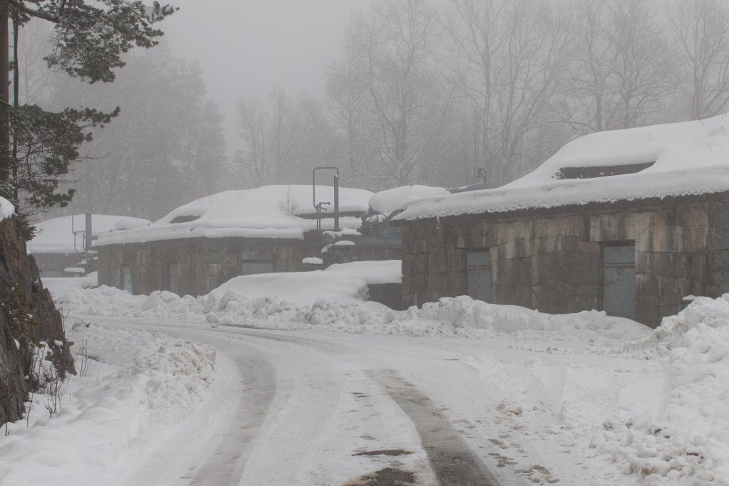 photo.jpg