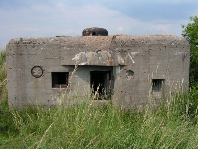 photo.jpg