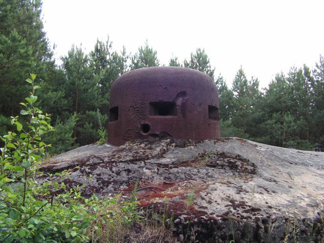 photo7.jpg