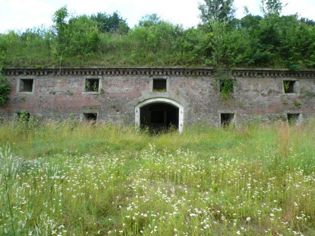 photo.jpg