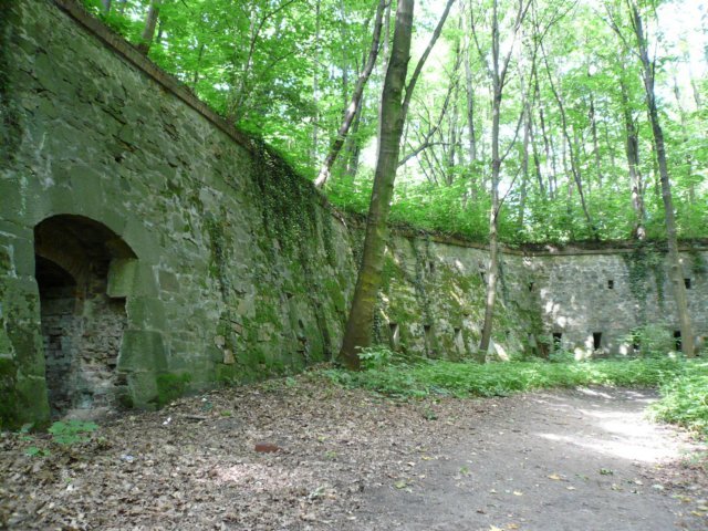 photo10.jpg