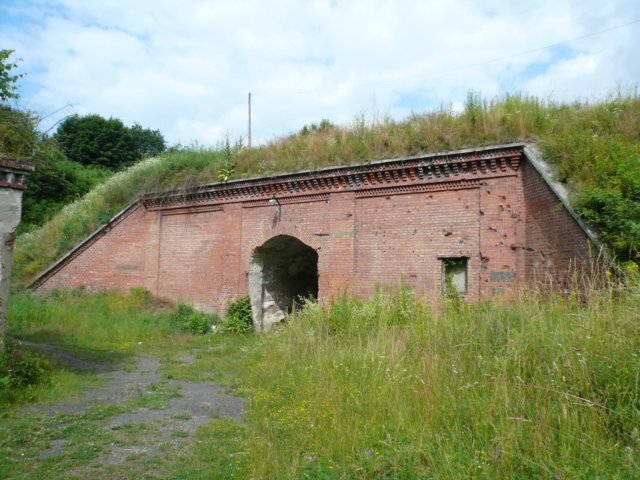 photo4.jpg