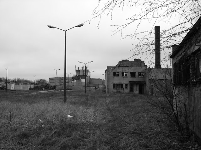 photo14.jpg
