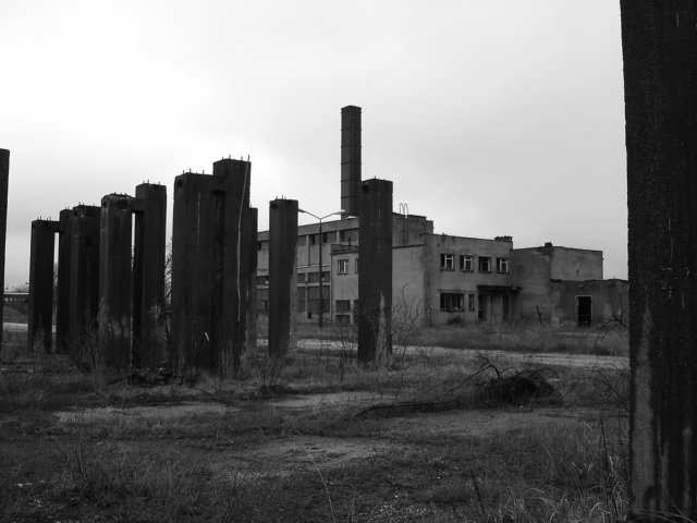 photo20.jpg